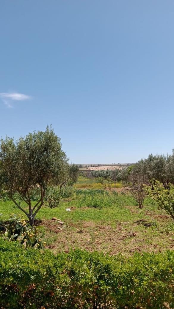Vila Ferme De Rayan Safi Exteriér fotografie